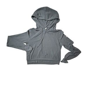 ALO Yoga Women's Gray Hoodie Cropped - XS